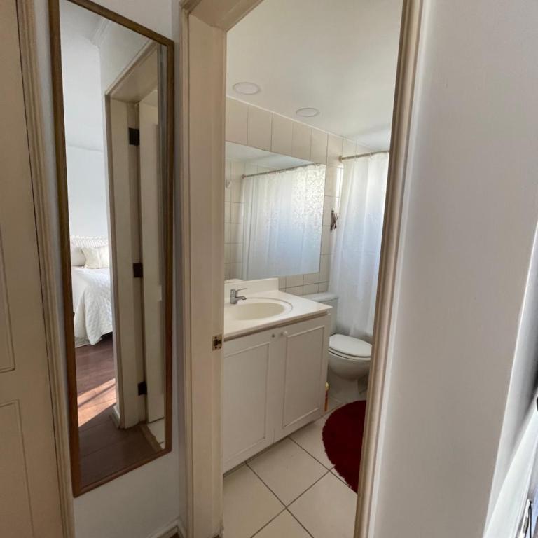 Magallanes - One-Bedroom Apartment - 9