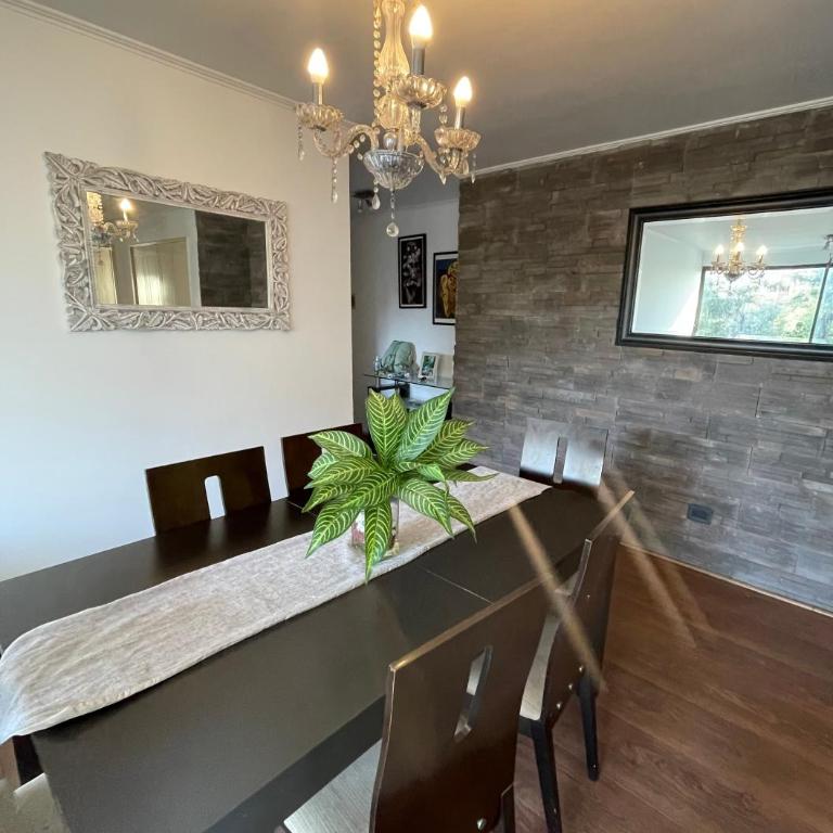 Magallanes - One-Bedroom Apartment - 12