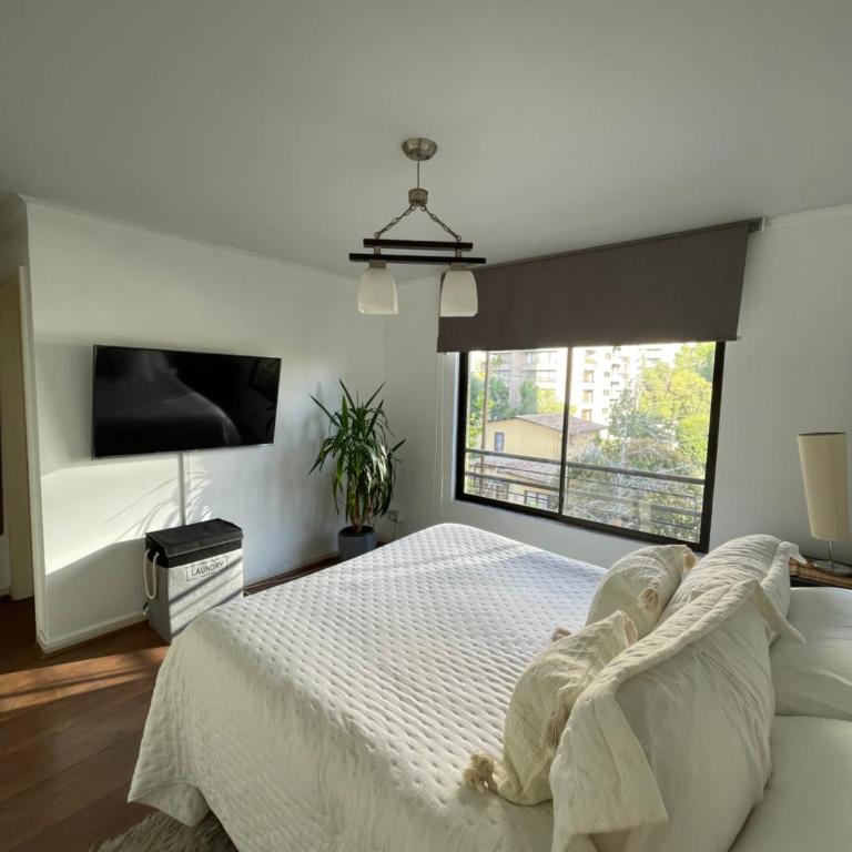 Magallanes - One-Bedroom Apartment - 14