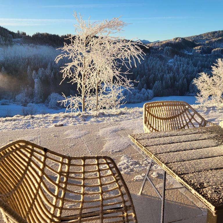Alpinchalet Bergahorn - luxeriöse Wohnung mit Sauna und grosser Terrasse - Apartment mit 3 Schlafzimmern - 24