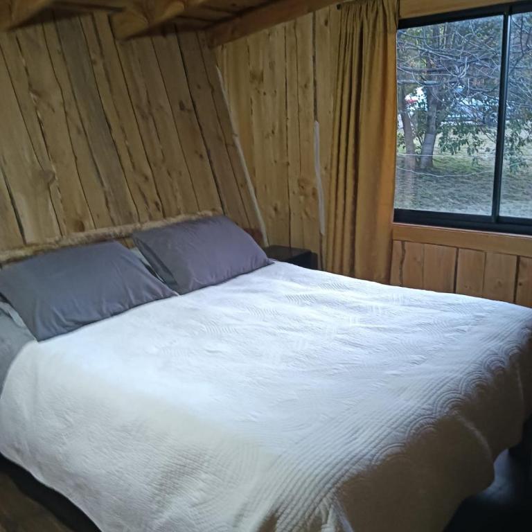 Cabañas Río Iculpe - Two-Bedroom Apartment - 2