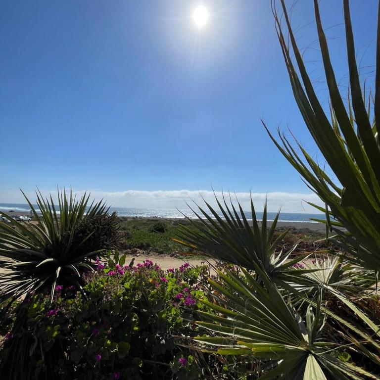 Beach house Pichilemu - Casa frente al mar - Two-Bedroom House - 19