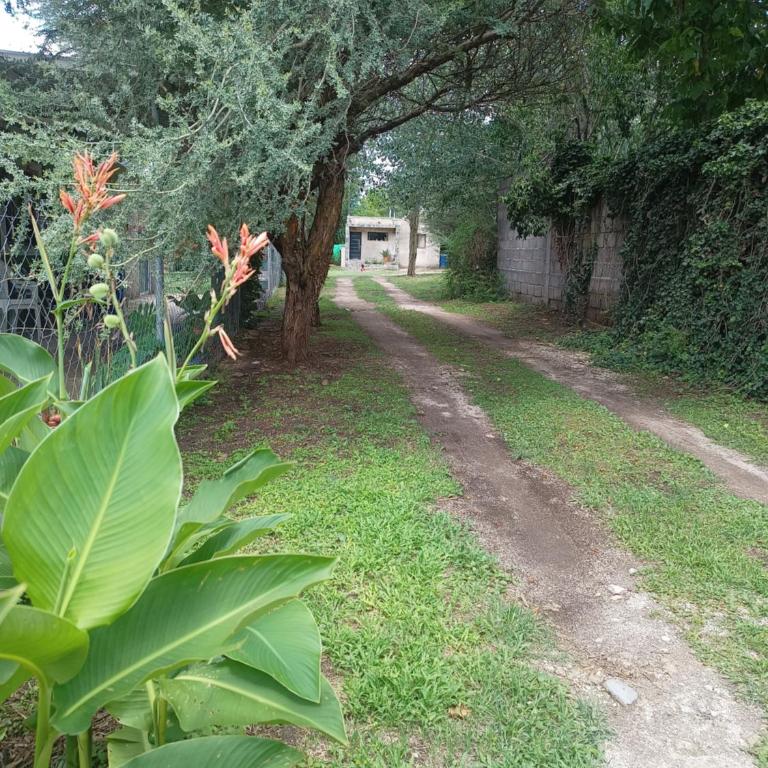 Bustos-Ariza - Casa de 2 dormitorios - 15