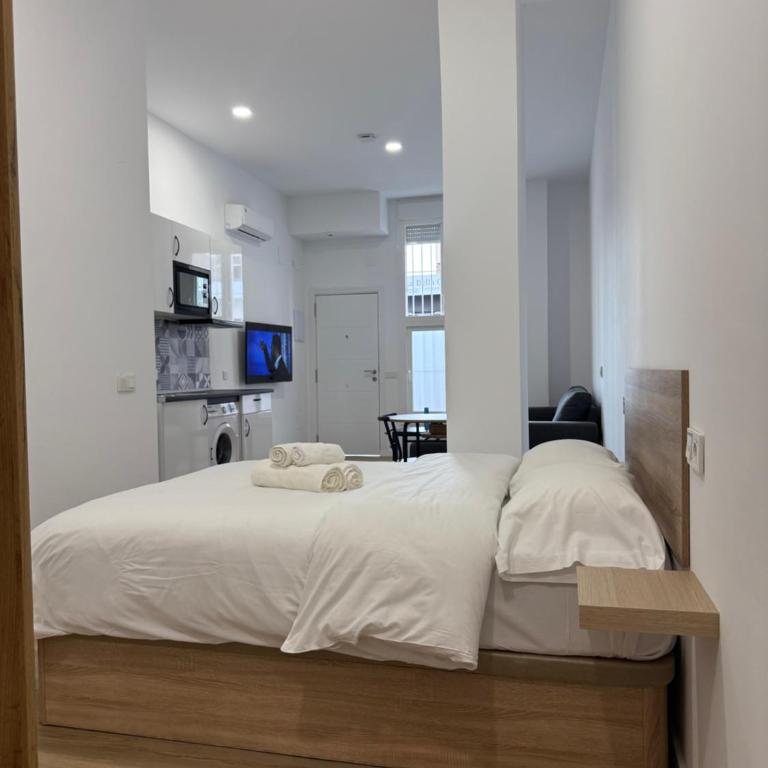 APARTAMENTOS ZONA 2 justo al lado de la ESTACIÓN DE TREN Y BUS MARÍA ZAMBRANO - Apartamento de 1 dormitorio - 22