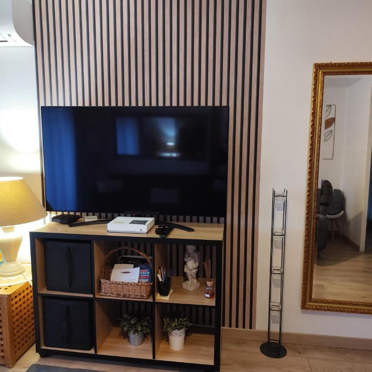 Le balcon de la basse centre ville de Perpignan - Apartamento de 1 dormitorio - 5