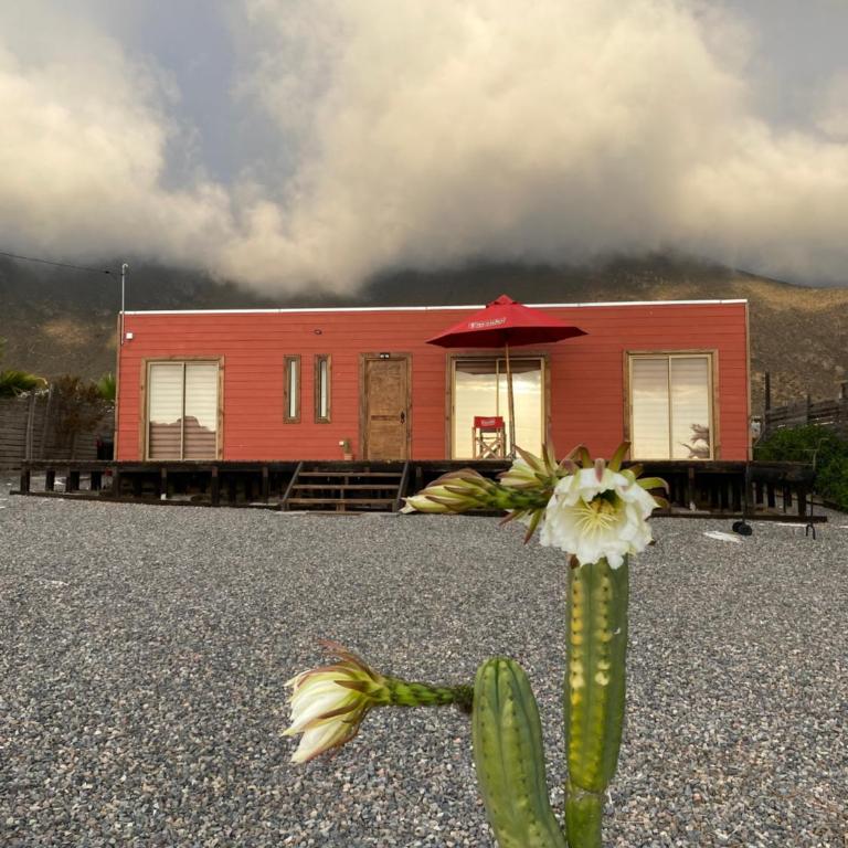 Hometotoralillo - Two-Bedroom Apartment - 23