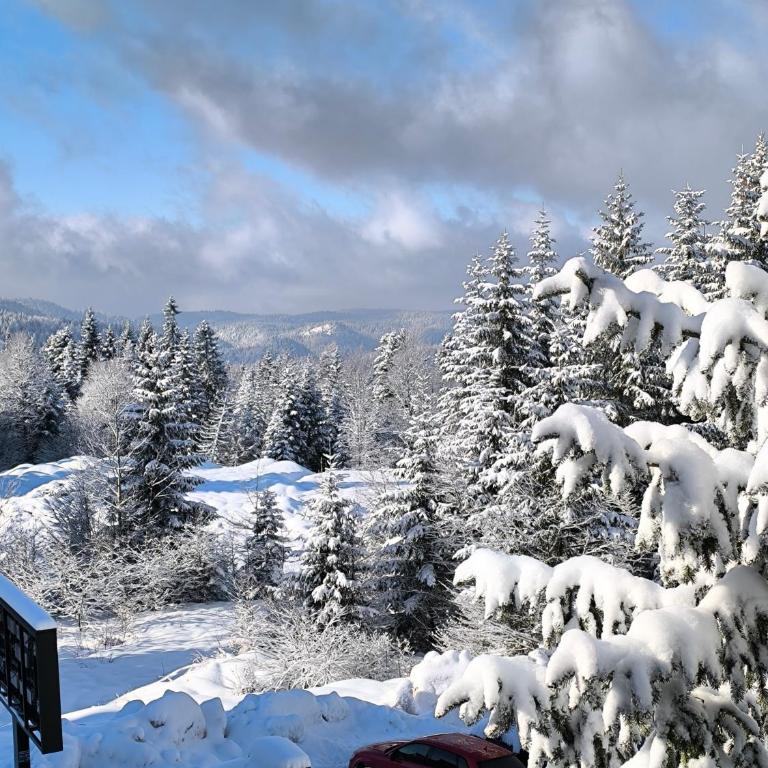 Gorštak-Šeha - One-Bedroom Apartment - 41