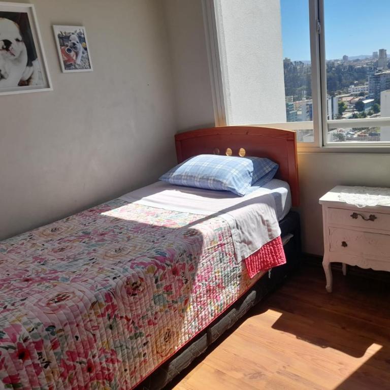 viña plaza 6 - Apartment - 2
