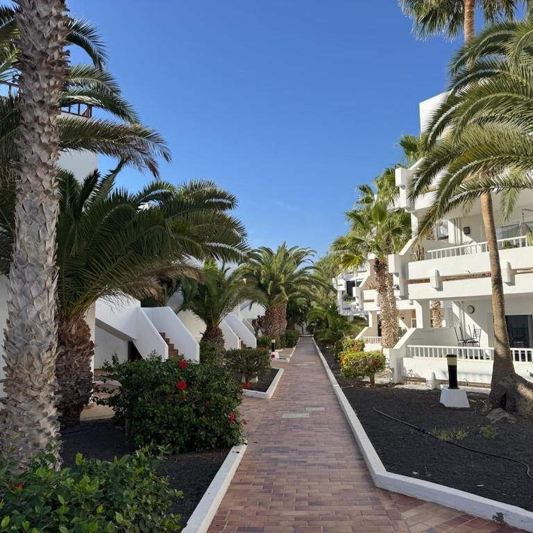 Casa Stadice - Apartamento de 2 dormitorios con vistas al océano - 23