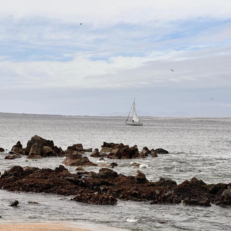 Amplio Apartamento con Terraza y Vista al Mar - Apartamento - 6