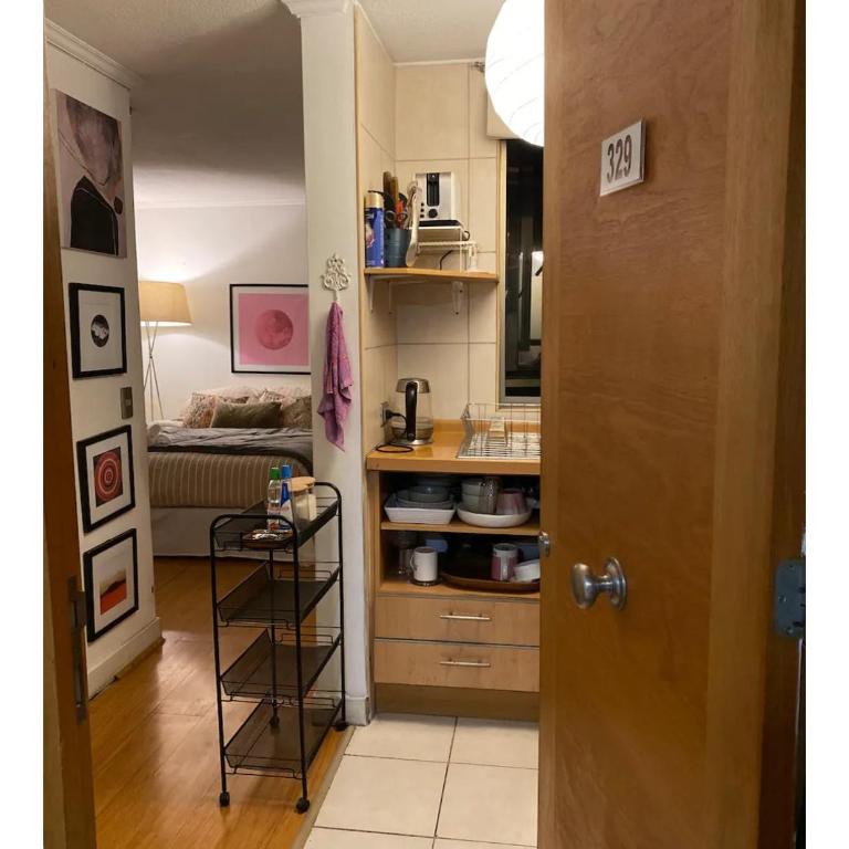 Departamento estudio en Barrio Lastarria, piscina con vista al cerro - Apartamento Estudio con cama grande - 1