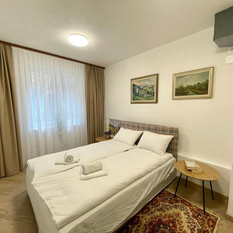 Engadin's 1BDR Apt in City Center - One-Bedroom Apartment - 15