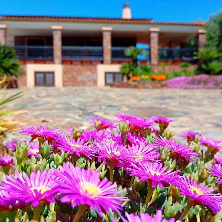 Alghero Villa Barranch with sea view swimming pool for 6 people - Villa con 3 Camere da Letto - 2
