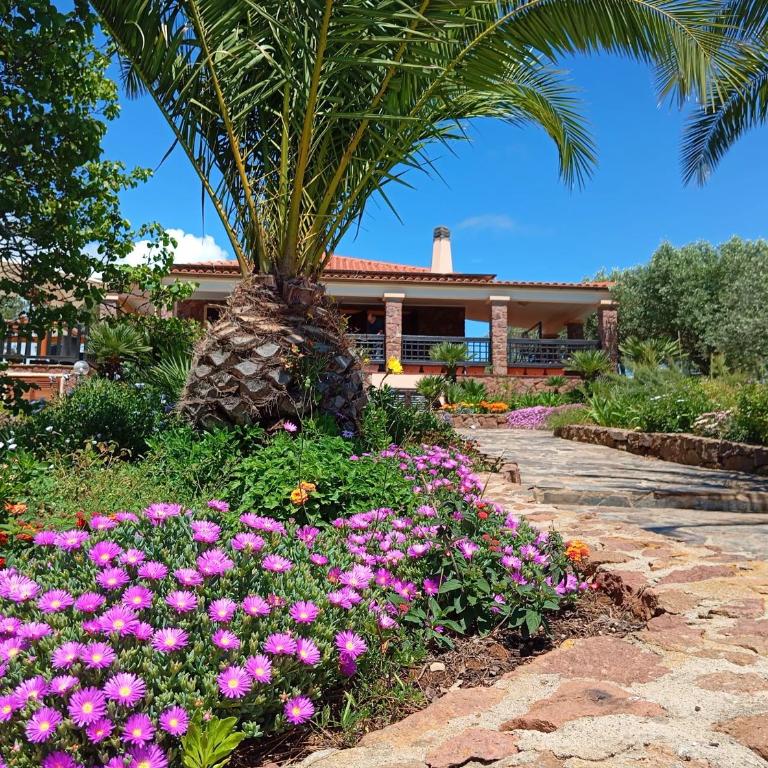 Alghero Villa Barranch with sea view swimming pool for 6 people - Villa con 3 Camere da Letto - 8