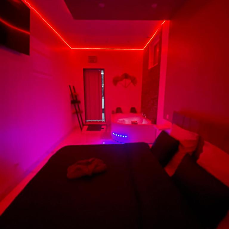 Suite GOLD L Amaryllis I Jacuzzi & Sauna privé I Centre Béziers Arrivée autonome - Appartement 1 Chambre - 7