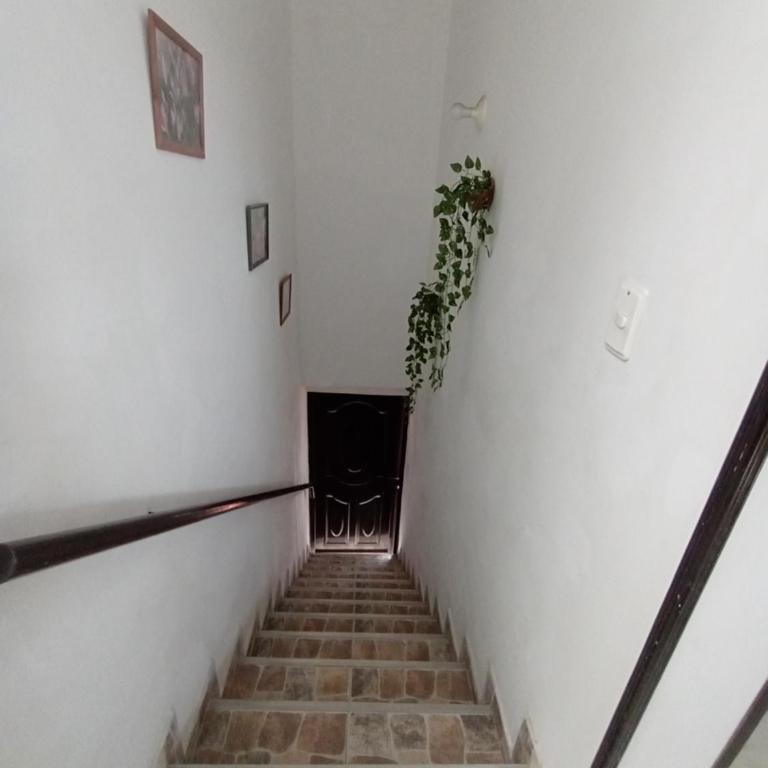 Apta Estudio Fabuloso - One-Bedroom Apartment - 2