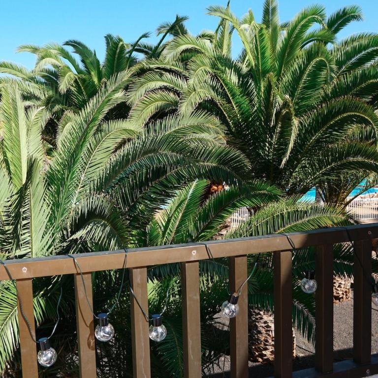 Que Vida! - Central apartment with pool - Apartamento de 1 dormitorio - 24