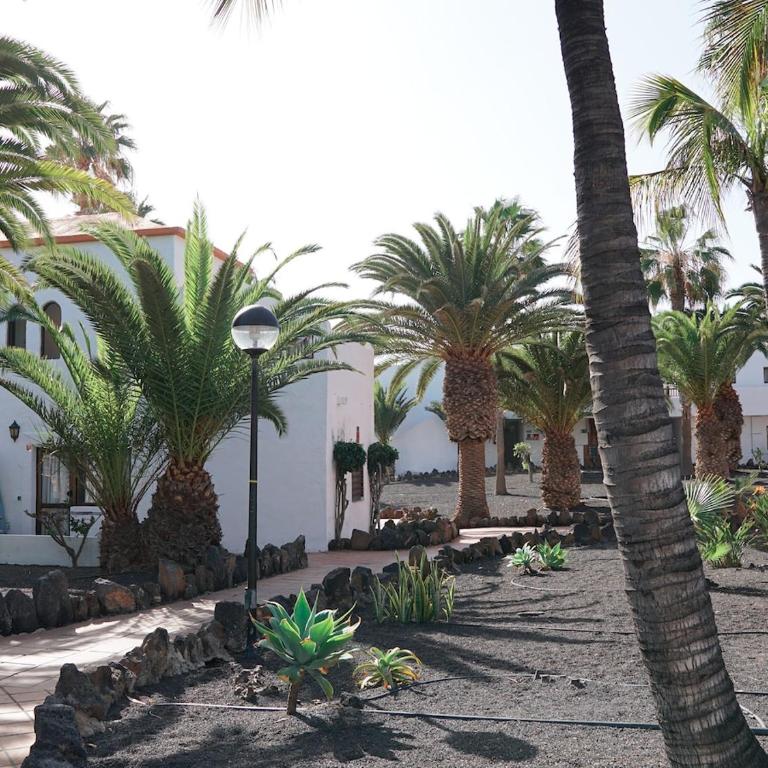 Que Vida! - Central apartment with pool - Apartamento de 1 dormitorio - 29