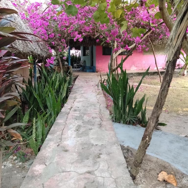ECOHOTEL LAS FLORES Econativo - Bungalow Estándar con ventilador - 1