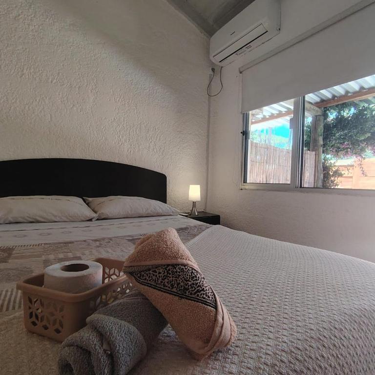 Hotel Chihuahua Garden - Double Room with Private Bathroom - 4