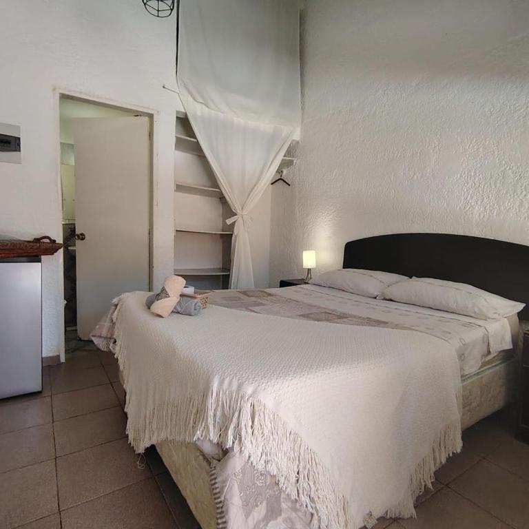 Hotel Chihuahua Garden - Double Room with Private Bathroom - 5