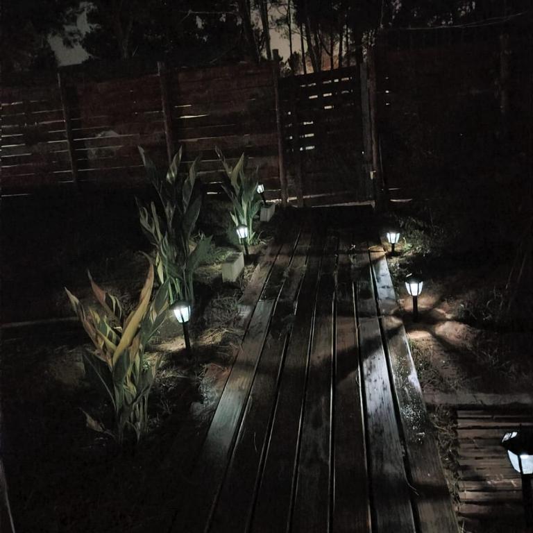 Hotel Chihuahua Garden - Quadruple Room with Garden View - 4