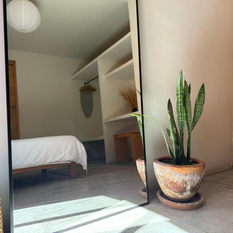 Casa 821 Guest House - Standard Double Room with Fan - 18