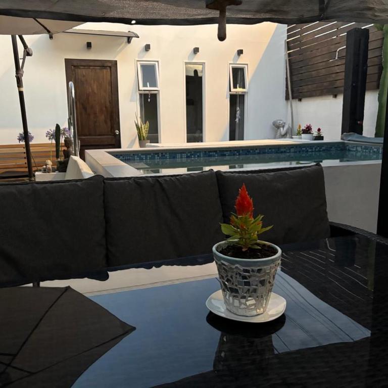 Tayka Suite - One-Bedroom Apartment - 6