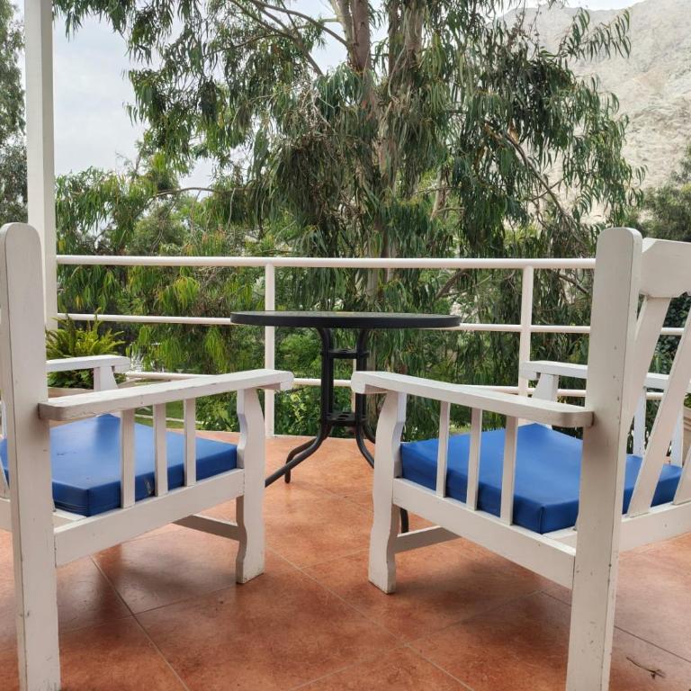 Hotel Los Palomos - Suite Junior - 2