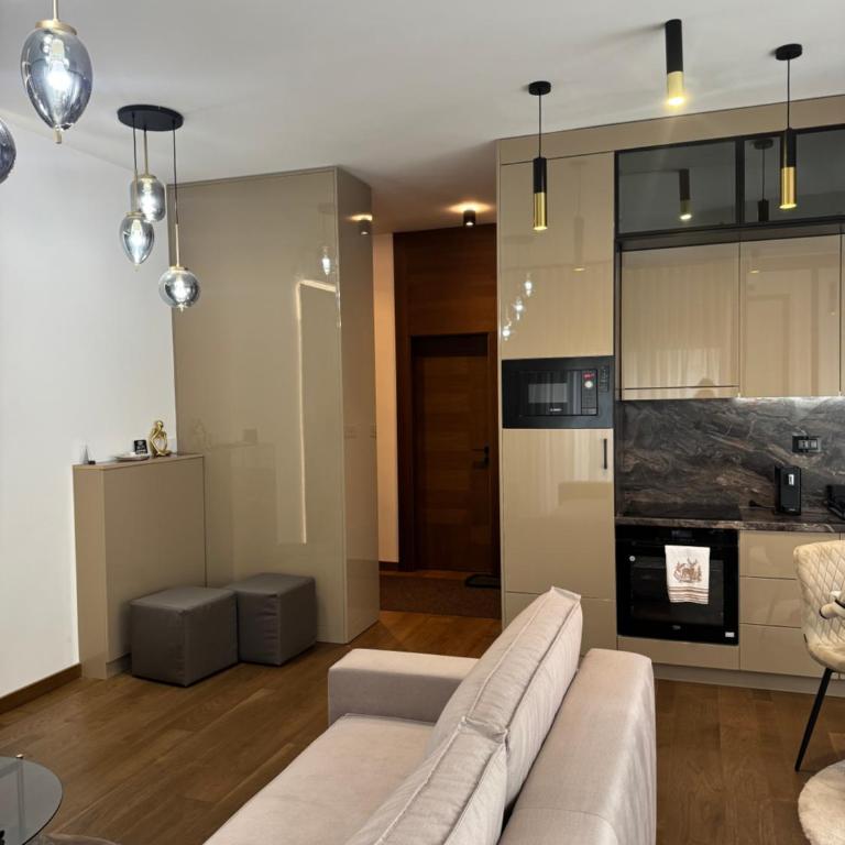 FIRST CLASS Apartments Zlatibor 2 - Apartman sa 1 Spavaćom Sobom - 32
