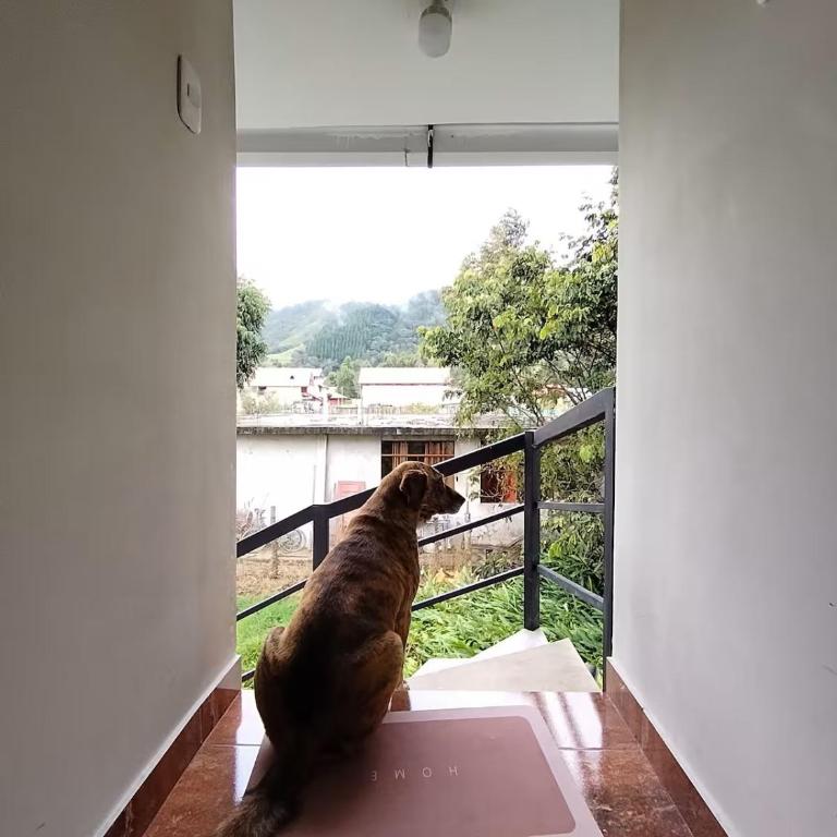 La casa de ANNI - Apartamento de 2 dormitorios - 21