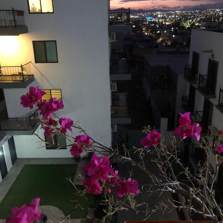 Ocaso Haus - King Penthouse Retreat - Apartamento de 1 dormitorio - 33