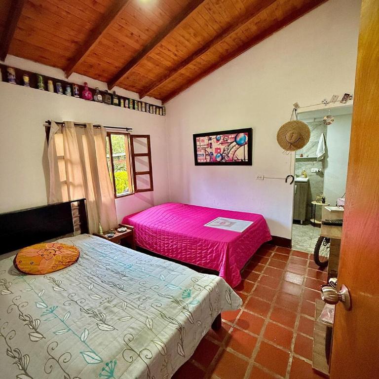 Villa Amparo Casa Finca - Casa con 1 dormitorio - 6