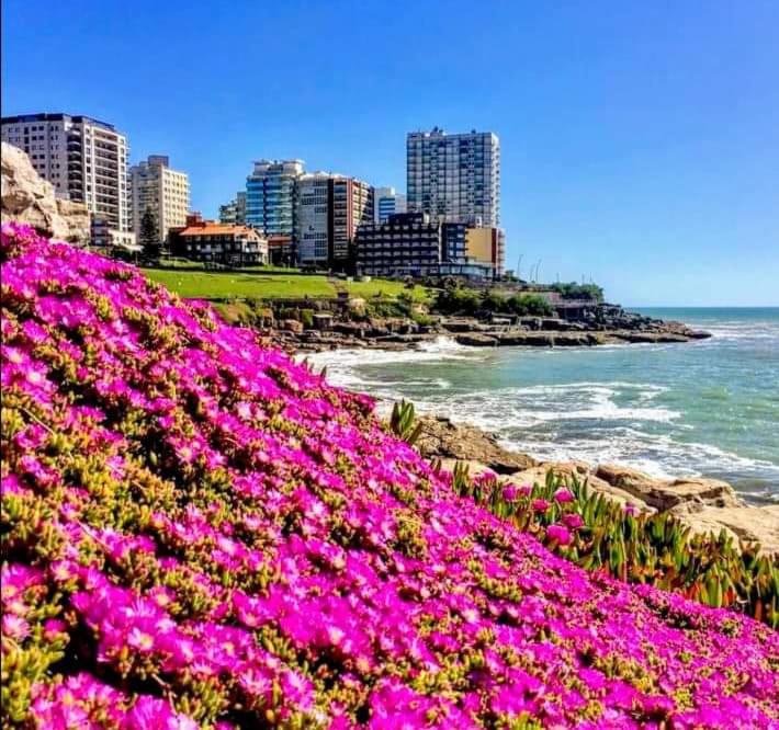 Departamento para 7 personas a 1 cuadra de la playa,Barrio Constitución, Mar del Plata - Two-Bedroom Apartment - 14