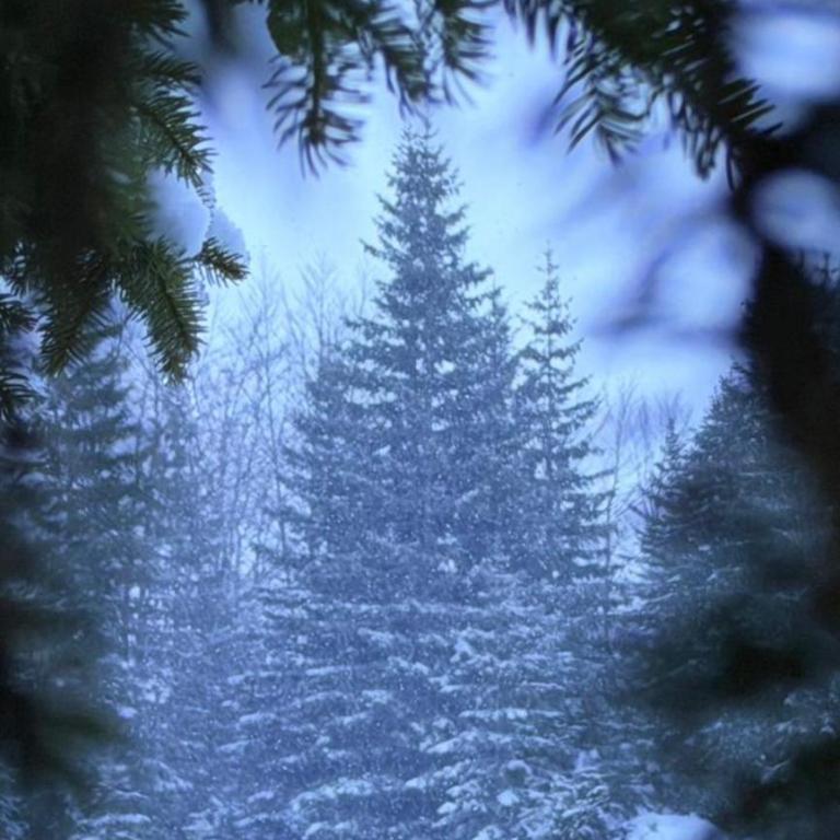 Villa Lazar - Villa - 4