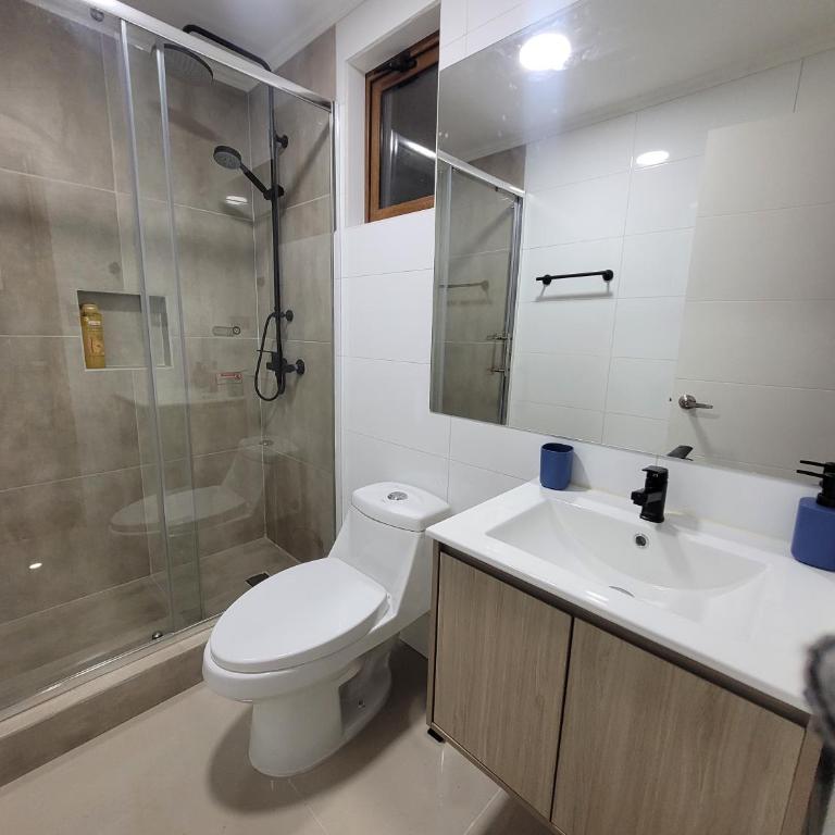 Apartments Patagonia Valdivia - Apartamento de 2 dormitorios - 8