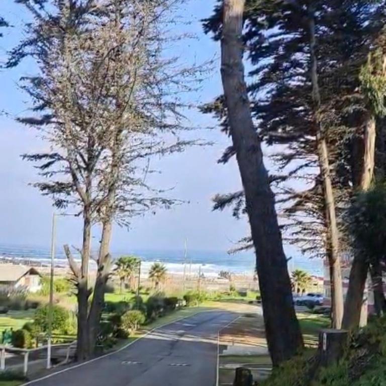 Bosque del Tabo 3 - Three-Bedroom Apartment - 1
