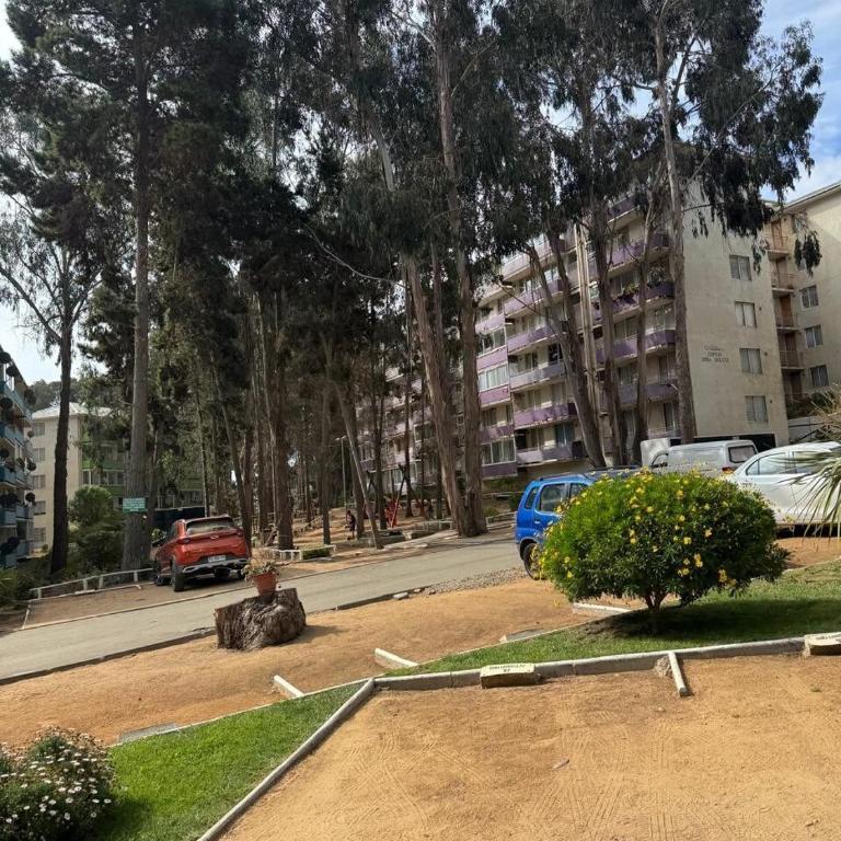 Bosque del Tabo 3 - Three-Bedroom Apartment - 14