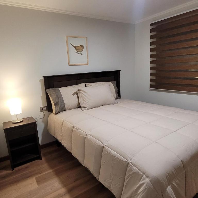 Apartments Patagonia Valdivia - Apartamento de 2 dormitorios - 10