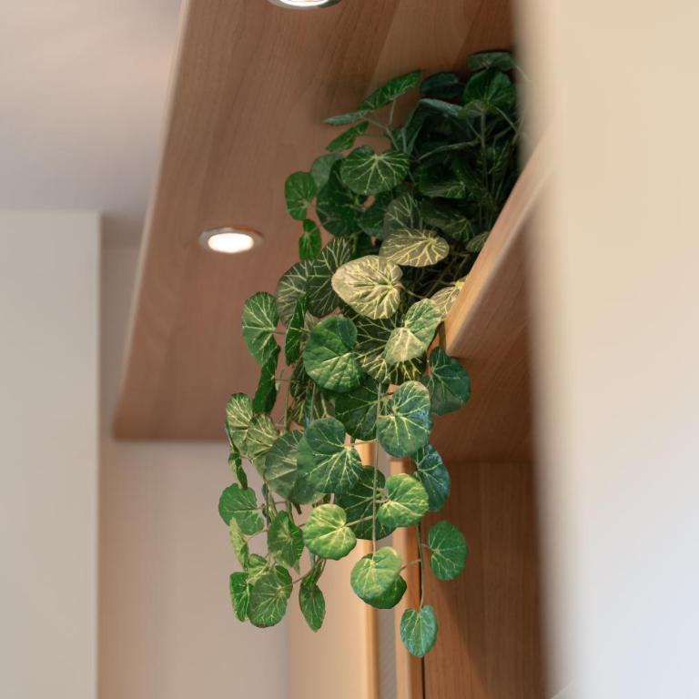 Casa Fidia - Appartamento con 2 Camere da Letto e Balcone - 12