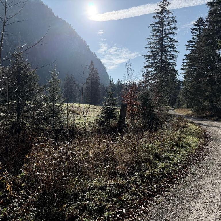 Urlaubskönner - Gemütliche Ferienwohnung für 2 - 4 Personen in Inzell - Apartment mit 1 Schlafzimmer - 20