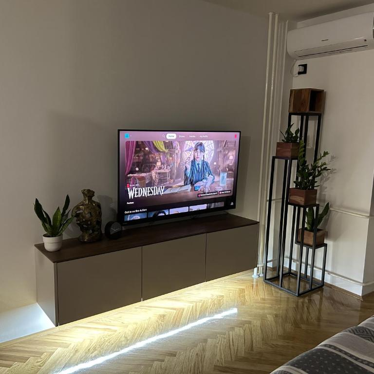 Cozy Apartments - Free Parking, WiFi & King-size Bed - Liman IV - Apartman sa 1 Spavaćom Sobom - 3