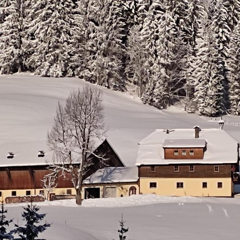 Kiblerhof - Apartment mit Blick auf die Berge - 51