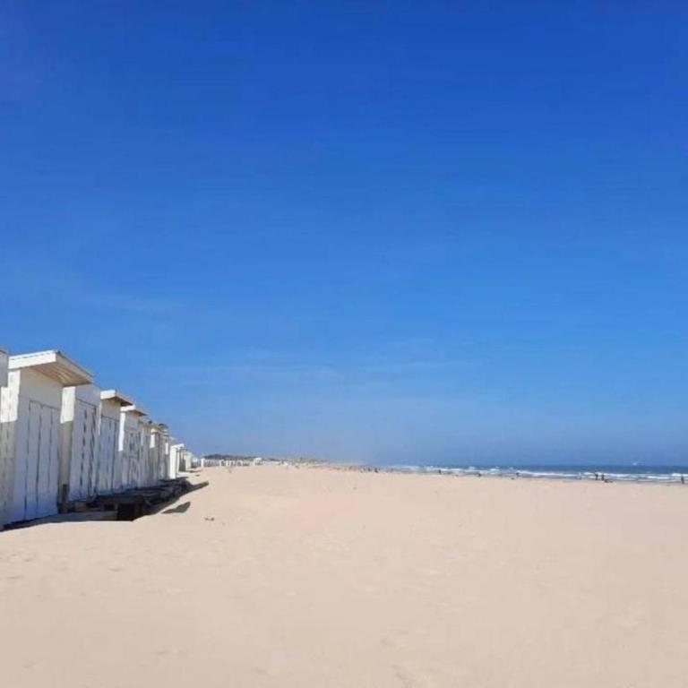 L'escapade Sweet home - vue sur Mer et Dragon de Calais - One-Bedroom Apartment - 6