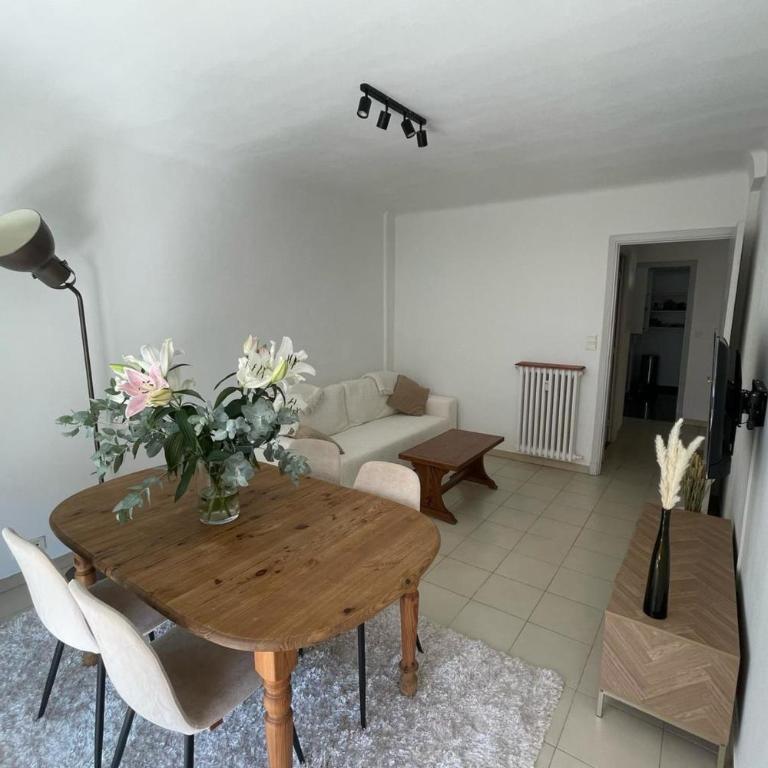 Le Niquet spacious 2-bedroom apartment in the heart of Antibes - Appartement - 31