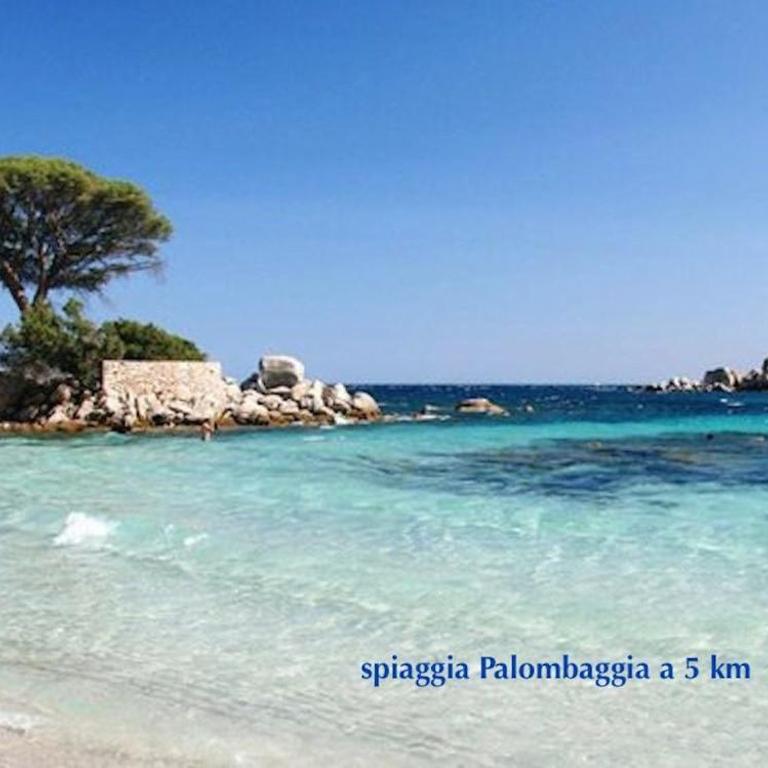 Minivilla Marina di Santa Giulia - Villa con Vista Giardino - 15