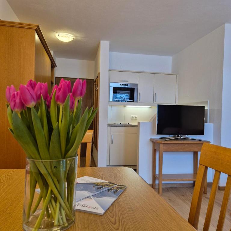 Appartements by Hotel-Garni Austria Westendorf - Tirol Erleben - Studio mit Bergblick - 4