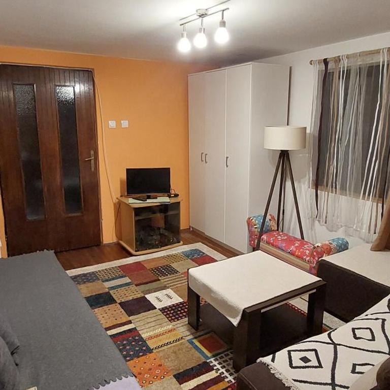 Nešić apartmani, Gornji Gajevi - One-Bedroom Apartment - 4