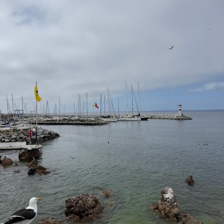 Frente al Mar Club de Yates Concon - Two-Bedroom Apartment - 13