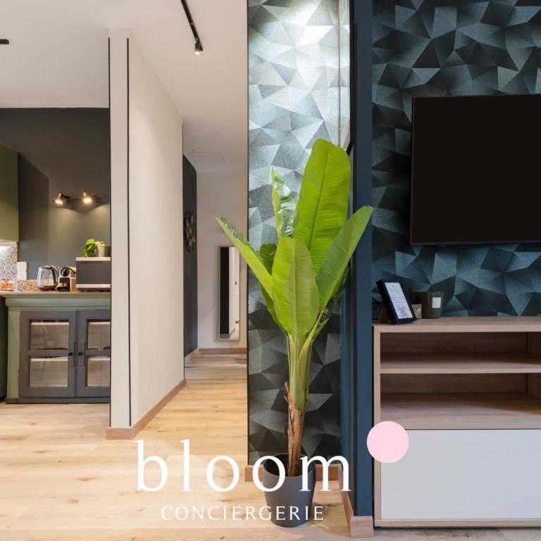 Le Somptueux de la Croix de Bourgogne - Appartement - 8